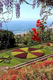 Jardim Botanico Botanical Garden Gardens Of The World Botanical Gardens Madeira Island