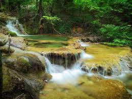 Traseu turistic integrat în parcul cheile nerei. Parcul NaÈional Cheile Nerei BeuÈniÈa Din CaraÈ Severin Planiada