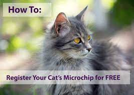 Go here to register your pet's microchip now! How To Register Your Cat S Microchip For Free Siberian Cats