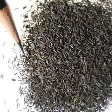 Image result for Renealmia susanneae-katziae