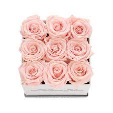 Eternal Fleur Preserved Rose Boxes Eternalfleur Fourseasonrose Preservedrose Roses Forever Redroses Red Everlasting F Dried Flowers Wedding Arch Bloom