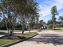 Maybe you would like to learn more about one of these? Cypress Texas Wikipedia
