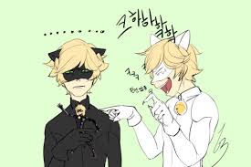 Chat Noir X Chat Blanc Get Images One