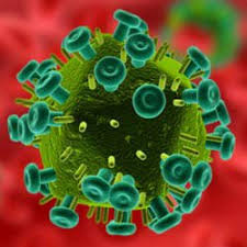 Kann der test auch anonym erfolgen? Hiv Das Humane Immundefizienz Virus