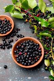 Superfood Maqui Berry Superfoods Antioxidant Of Indian Mapuche Chile Bowl Of Sponsored Mapuche Indian Bow Fruit For Diabetics Superfood Health Food