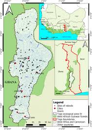 Image result for Cathormion altissimum