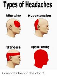 Types Of Headaches Migraine Hypertension Stress Pippin