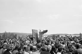 Det är vacker vårdag i ådalen, den 14 maj 1931 och bygdens arbetare har klätt upp sig i söndagskostymer, köpt karameller till barnen, höjt de röda fanorna och bildat ett tre kilometer långt demonstrationståg. Adalen 1981