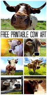 Cow Canvas Print Art For Free Cow Canvas Cow Art Animal Printables