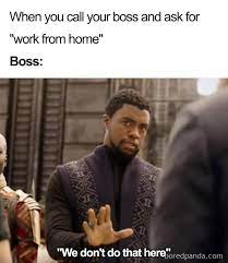 30 Of The Funniest Boss Memes Bored Panda