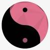 Meaning and history blackpink is a band with a very distinct image. 3