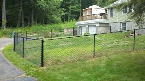 Depends upon your location and growing conditions. Chain Link Northern Fence