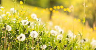 Какие еще знаменательные события и даты отмечаются в мире — читайте в материале. 10 Aprelya 2020 Goda Kakoj Segodnya Prazdnik Primety I Den Angela Ukraina Tch Ua