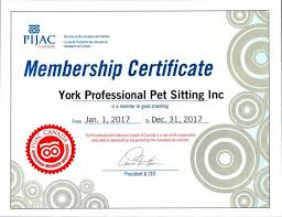 Check spelling or type a new query. Awards And Community Involvement York Professional Pet Sitting