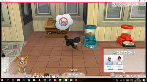 Download the playable pets mod. Isuue With Aom Playable Pets Mod And Broken Comment Field Sims 4 Studio