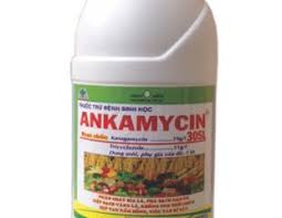 Ankamycin 30SL
