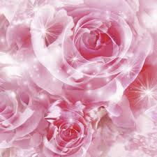 We did not find results for: 20 Gambar Bunga Mawar Pink Putih Cari Gambar Keren Hd