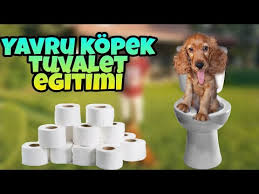 Dogo Buz Haslanmis Yumurta 88 Youtube