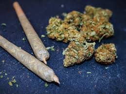 Aprende cuáles son los cuidados de una plantación de marihuana en exterior. Marihuana Die Risiken Und Wirkungen Der Illegalen Droge