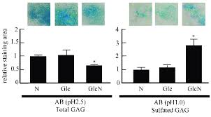 On this channel, you'll find a variety of content including skits, sketches, comedy, listicles and more. Alcian Blue Staining Of Atdc5 Cells After 35 D Of Culture The Cells Download Scientific Diagram