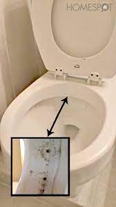 tips for maintaining your toilet including how to keep a toilet clean much longer 1 4 cup o detournement produits menagers trucs et astuces maison nettoyage
