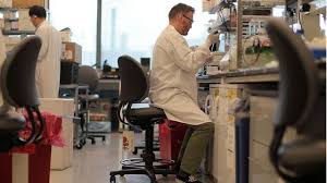 Trading of biogen (biib) is still halted as of 11:30 am (eastern). G Lmj Vsm2qq2m