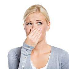 Schimmel aus sofa entfernen youtube. Geruche Aus Sofa Couch Entfernen Fachartikel Polsterando