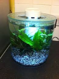 At Aquarist Classifieds Tanked Aquariums Fish Tank Aquarium