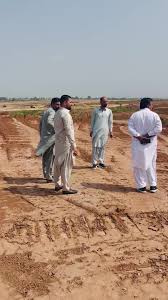 Image result for Mohria