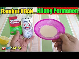 Cara Membuat Rambut Uban Kembali Hitam Tanpa Semir Rambut Youtube Perawatan Rambut Rontok Perawatan Rambut Alami Kesehatan Rambut