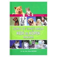 Soru Ve Yan Tlarla Kedi Ve K Pek Bak M Kedi Kopek Pekin