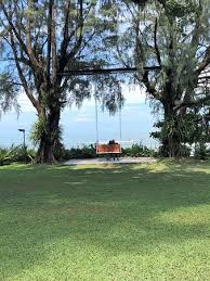 The Love Swing In Parkroyal Penang S Garden Saw A Lovely Wedding There Picture Of Parkroyal Penang Resort Batu Ferringhi Tripadvisor