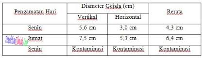 Contoh pembahasan pada laporan praktikum. 2 Contoh Hasil Dan Pembahasan Laporan Praktikum
