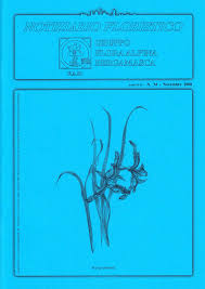 Image result for Swertia pleurogynoides