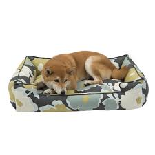 Great savings & free delivery / collection on many items. Everyday Cotton Lounge Dog Bed