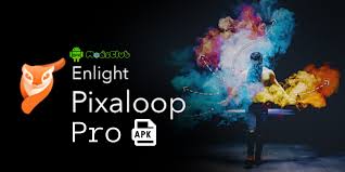 Download Pixaloop Pro Mod Apk Latest Version 2020 Photo Animation App Photo Software Effects For Pictures