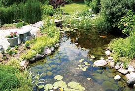 The reason why a water pump is important to your water garden is that it ensures proper circulation, which is crucial to both plants and animals. Why Build A Water Feature Learning Center The Pond Guy