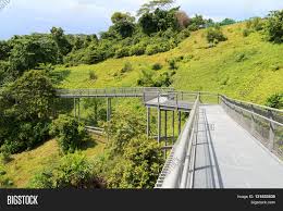 Singapore website mount faber park mount faber, formerly telok blangah hill, is a hill about 94 metres in height. Forest Walk Telok Image Photo Free Trial Bigstock