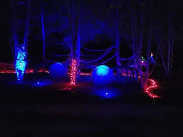 The Halloween Light Show In North Carolina That S Enchantingly Spooky Halloween Light Show Halloween Lights Halloween