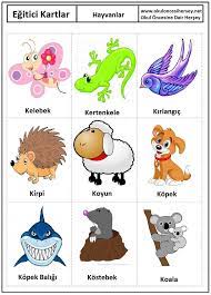 okul oncesi hayvanlar egitici kartlari kartlar hayvan kartlari hayvanlar
