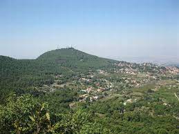 9,110 likes · 82 talking about this. Cele 7 Coline Ale Romei