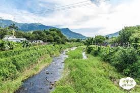 盛夏限定 樹屋田莊開放日做小野人泰山通山走攀原始樹屋 country roads natural landmarks landmarks