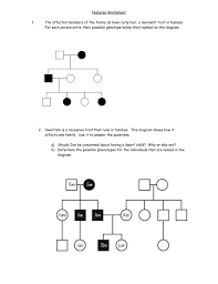 Pedigree Worksheet