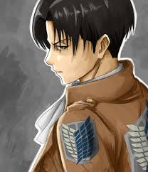 See more ideas about attack on titan levi, levi ackerman, levi. Fanart Attack On Titan Levi Ackerman Novocom Top