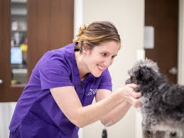 Getting emergency vet care for your pet. Specialty Emergency Vet In Rock Hill South Carolina