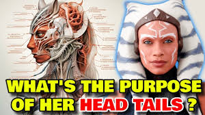 Ahsoka Anatomy Explored - What Is The Purpose Of Her Head Tails? Can She  Die If They Get Damaged? - YouTube