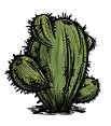 Growing plants and picking berries are not the only available food sources. Cactus Don T Starve Wiki Fandom
