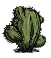The first option, which is the most common and safest, is to use an excellent herbicide product. Cactus Don T Starve Wiki Fandom