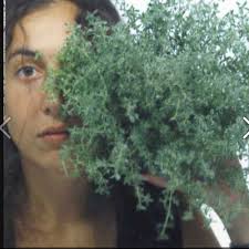 francesca benedetto (@YellowOffice01)