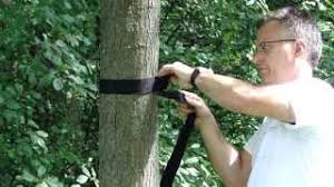How to install a swing between two trees. How To Hang Swing Between Two Trees